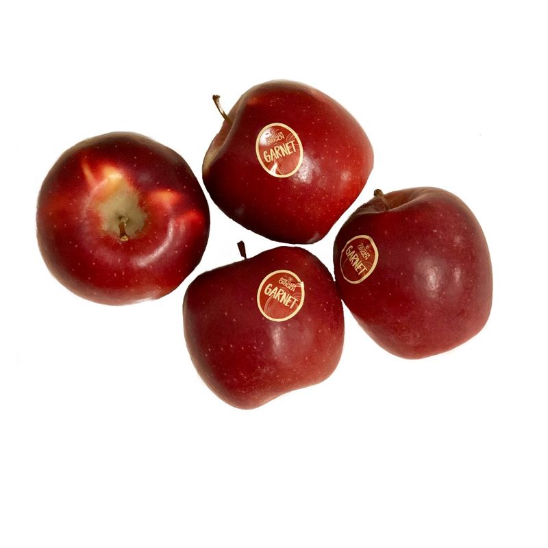 poma-garnet