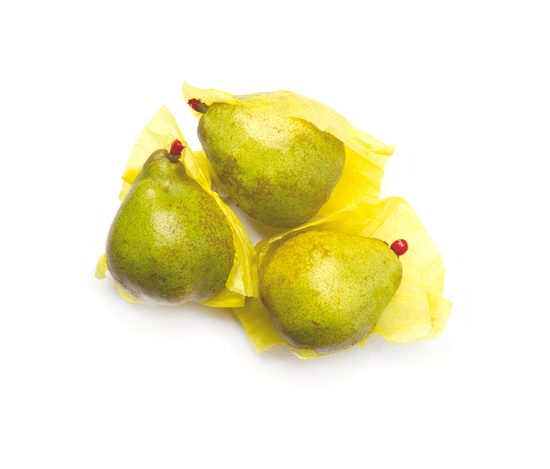 13-pera-comice