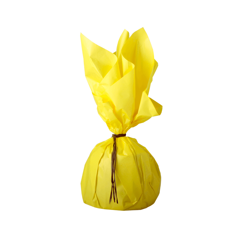 41989-panettone-pasqua-fruita-ao-500g