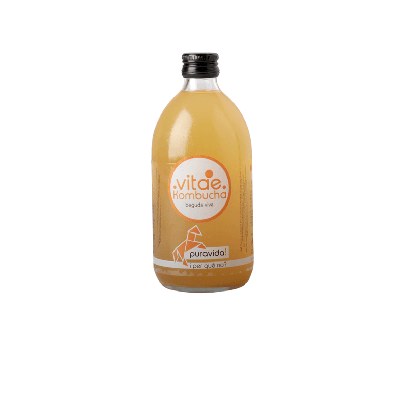 kombucha-pura-vida-eco-vitae-500ml