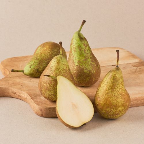 Pera Conference categoria 1