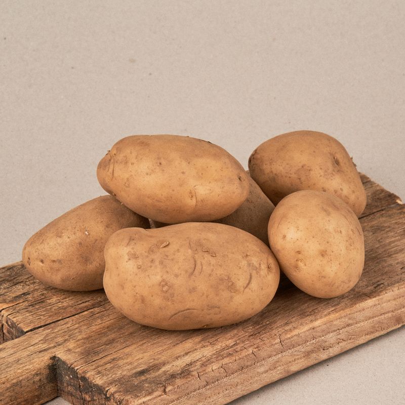 000000000000000213-Patata-kennebec