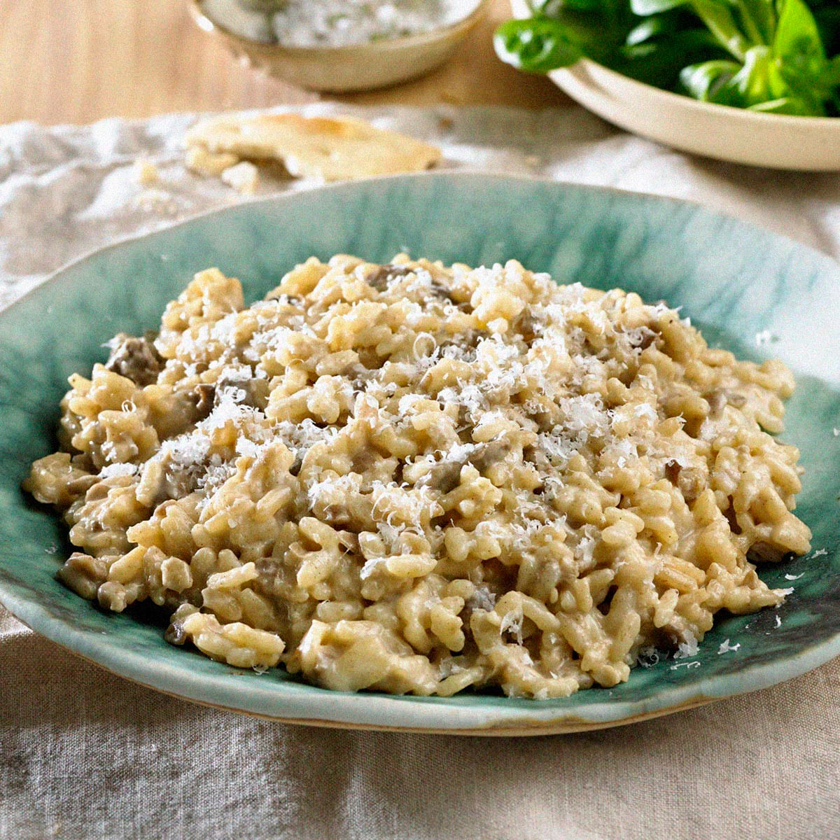 Risotto de ceps Ametller Origen 250g AmetllerOrigen