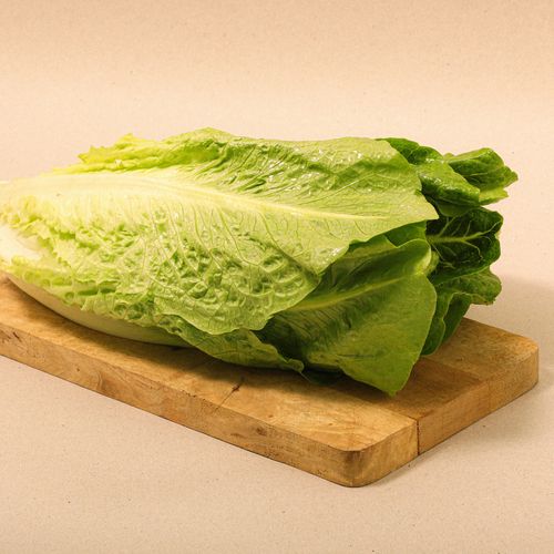 Lechuga larga