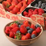 00099-Mix-Fruits-vermells-700gr