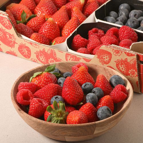 Mix frutos rojos 650g