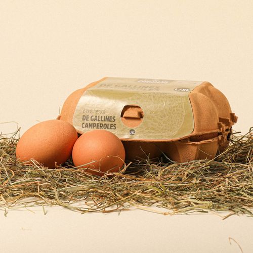 Ous gallines criades a l'aire lliure L/XL Ametller Origen  6 u