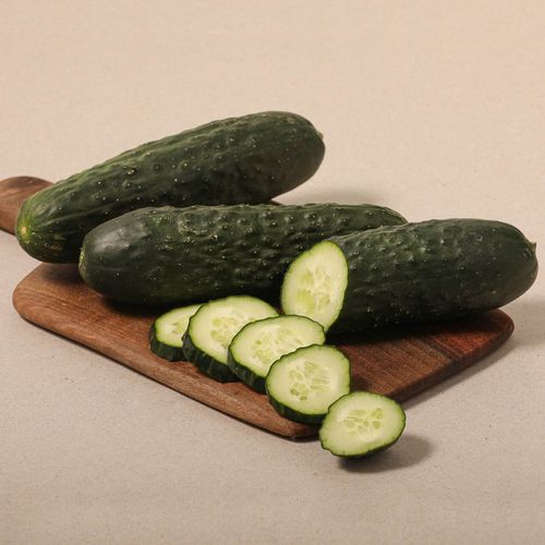 Pepino corto