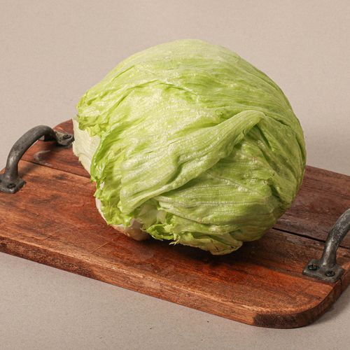 Lechuga iceberg