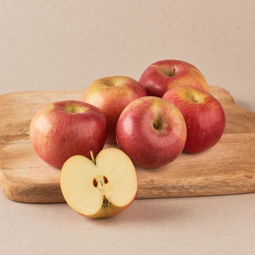 Poma Fuji categoria 1