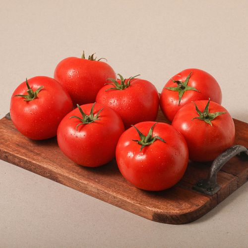 Tomate gazpacho extra