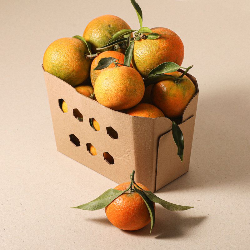mandarina-fulla-safata-1kg-aprox