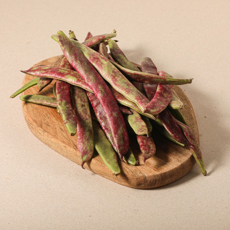 mongeta-vermella-extra