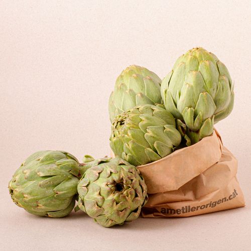 Lot Carxofa extra - bossa 2kg