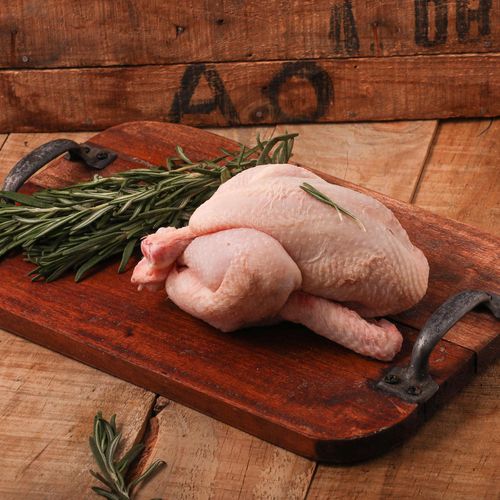 Picantones Ametller Origen