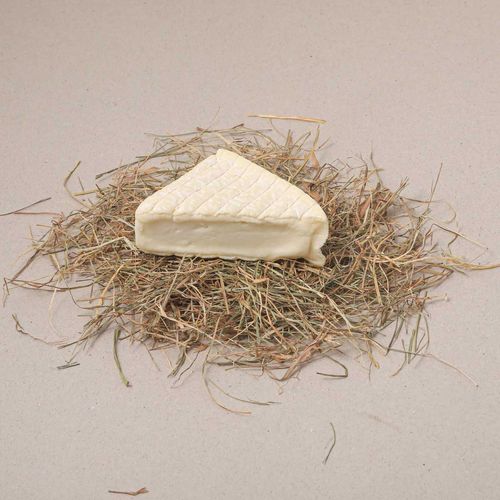 Affinois oveja Brebicet