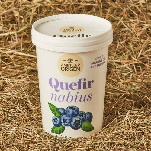 Kéfir con arándanos Ametller Origen 500 g