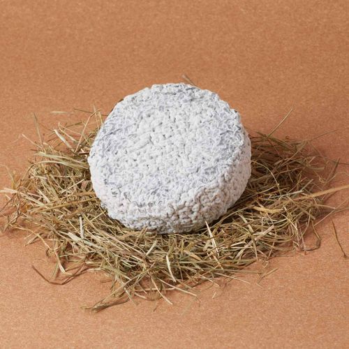 Quesos Colette Cendré Bach 150g