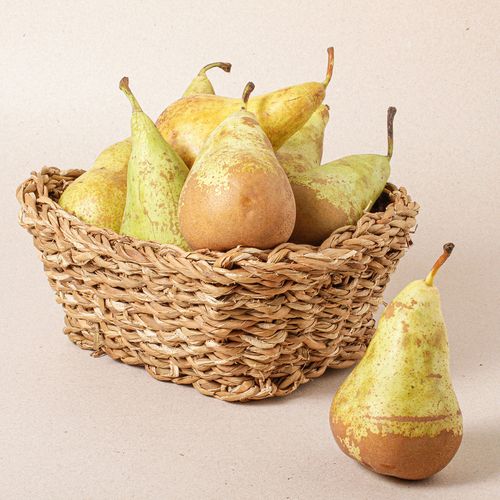 Pera Conference extra