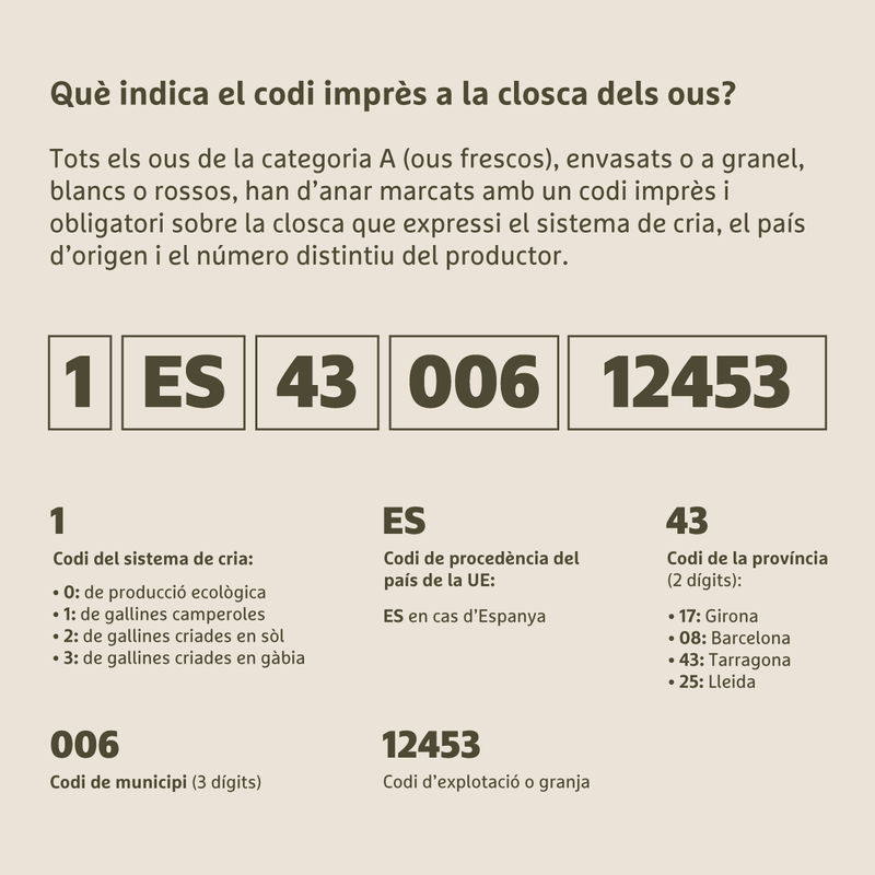 Foto_Legal_Ous_CAT