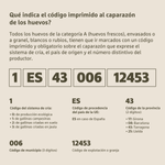 Foto_Legal_Ous_ESP