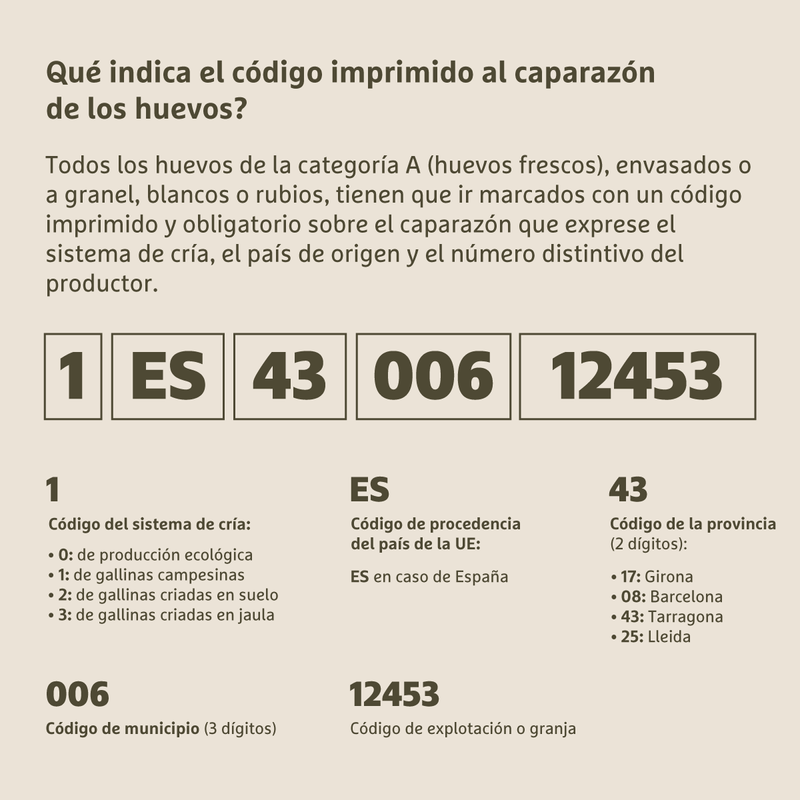 Foto_Legal_Ous_ESP