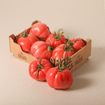 55101_TOMAQUET-MONTEROSA--SAFATA-1