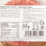 10442-American-burger---1-