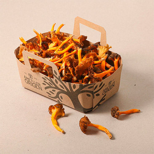 Trompeta amarilla - bandeja a granel 200g aprox.