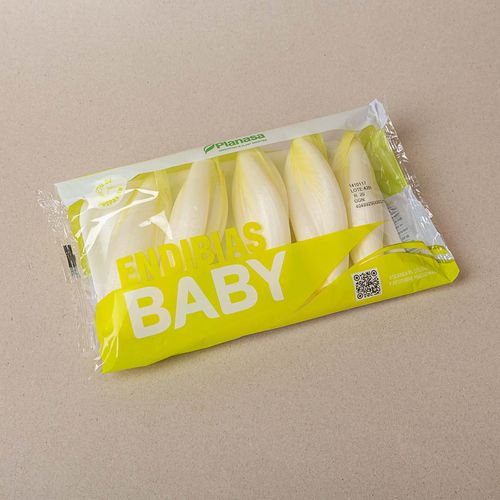 Endibia baby - bandeja 400g