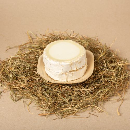 Rulo de queso de oveja El Pastor