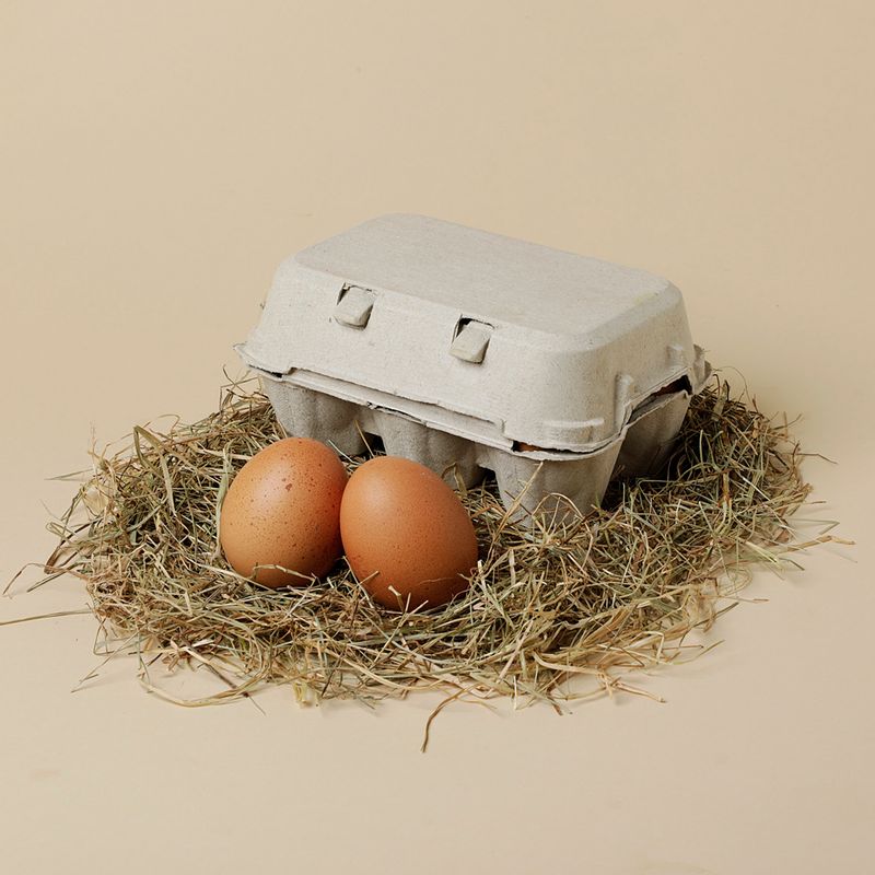 8004-Ous-gallina-llibertat-L-XL.JPG