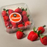13336-Maduixot-Fondant-safata-400g.jpg