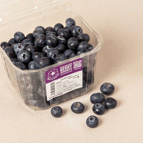 Nabius - safata 500g