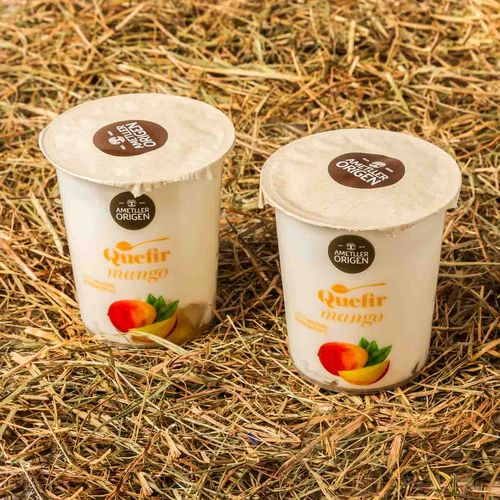 Kéfir de mango Ametller Origen 125g - 2uds.
