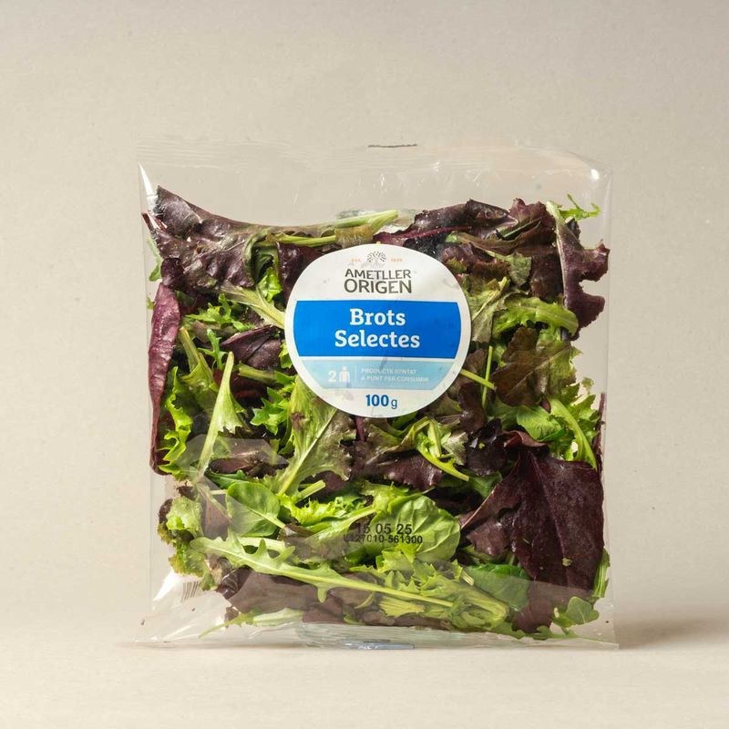 42907-Brots-selectes-Ametller-Origen-100g-.jpg