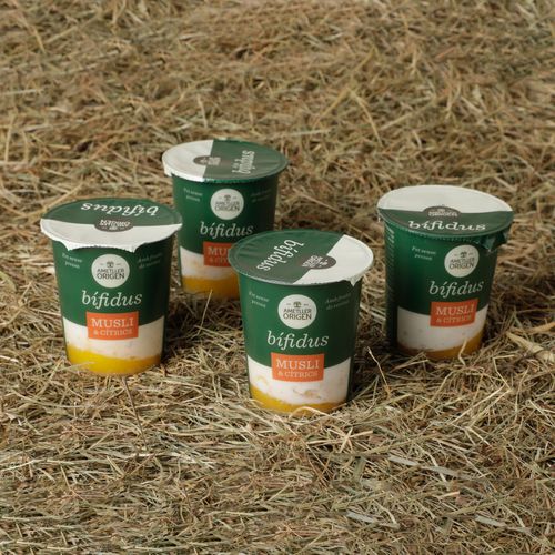 Iogurt bífidus amb muesli i cítrics Ametller Origen 125g - 4u.