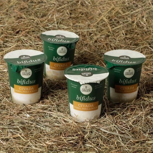 Iogurt bífidus amb civada, poma i nous Ametller Origen 125g - 4u.