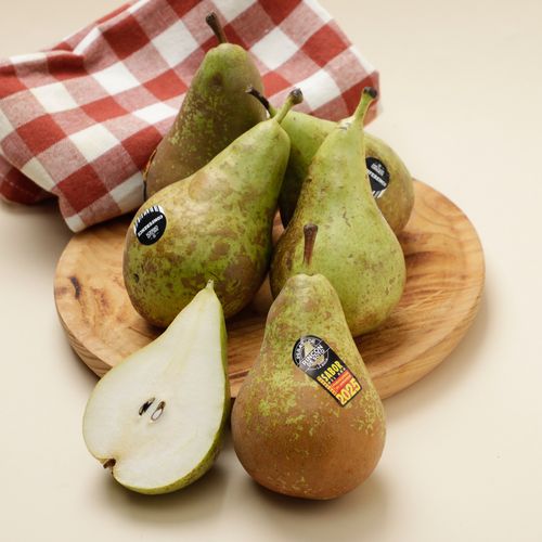 Pera Conference extra