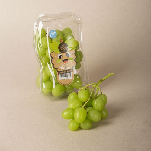 Raïm blanc sense llavors 500g