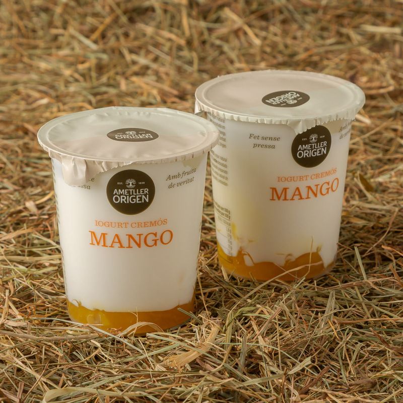 12833-Iogurt-bicapa-de-mango-Ametller-Origen-125g-2u-packaging