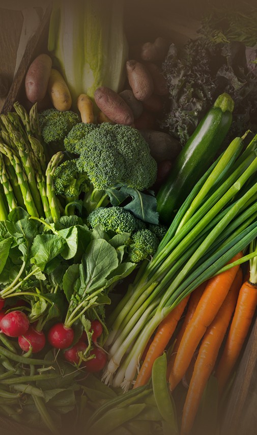 Description of the image