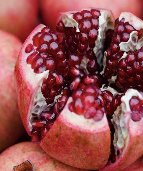 Description of the image