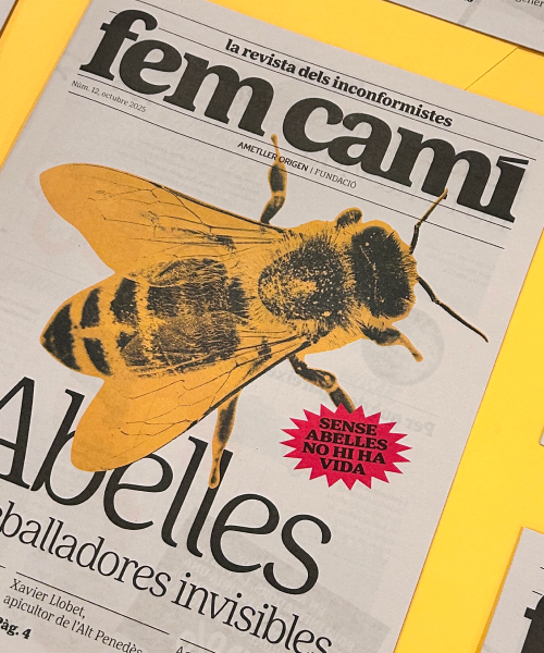 Description of the image